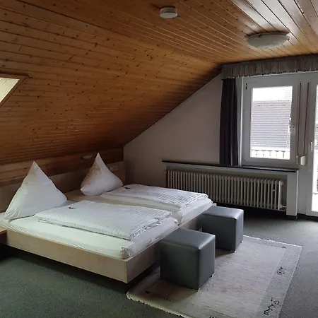 H41 Inn Hotel Garni Freiburg-2