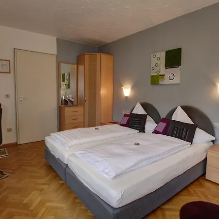 H41 Inn Hotel Garni Freiburg-3